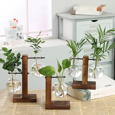 Vertical Bloom Glass Propagator