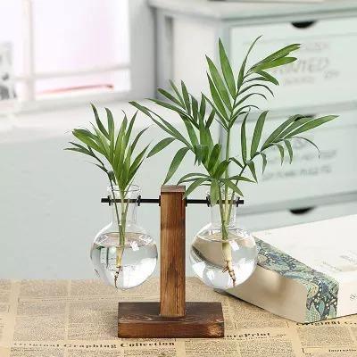 Vertical Bloom Glass Propagator
