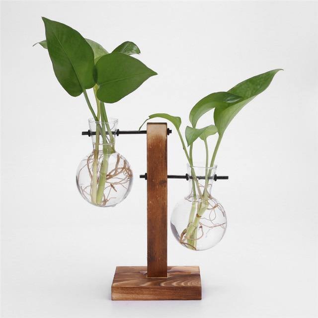 Vertical Bloom Glass Propagator