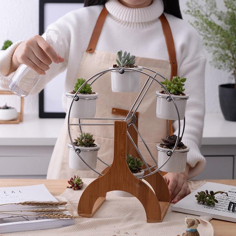 Wooden Carousel with Ceramic Succulent Planters
