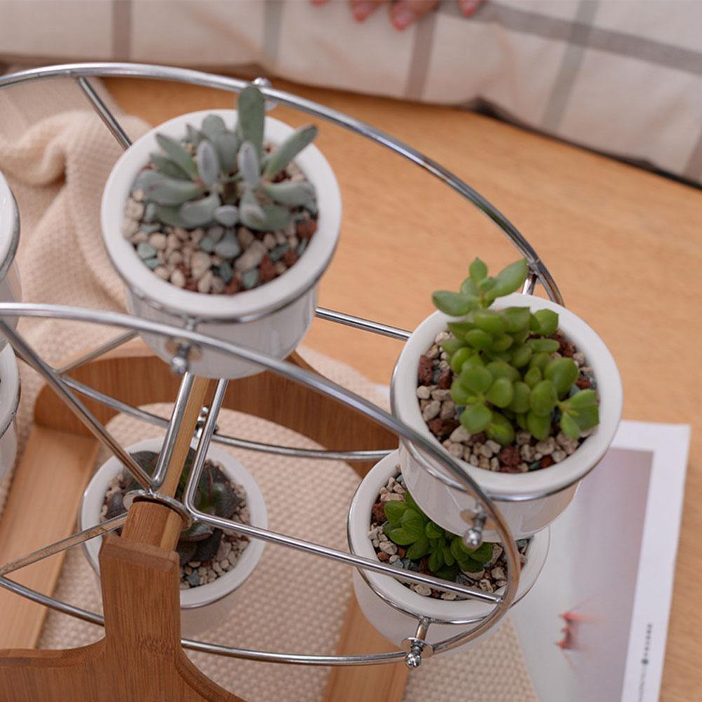 Wooden Carousel with Ceramic Succulent Planters