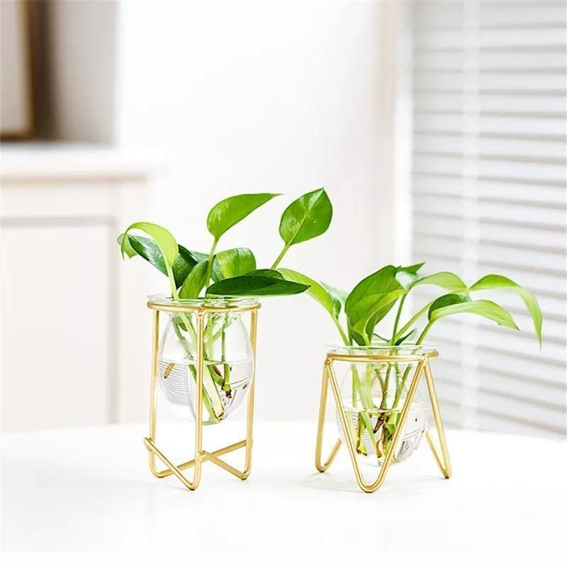Modern Glass Plant Vase