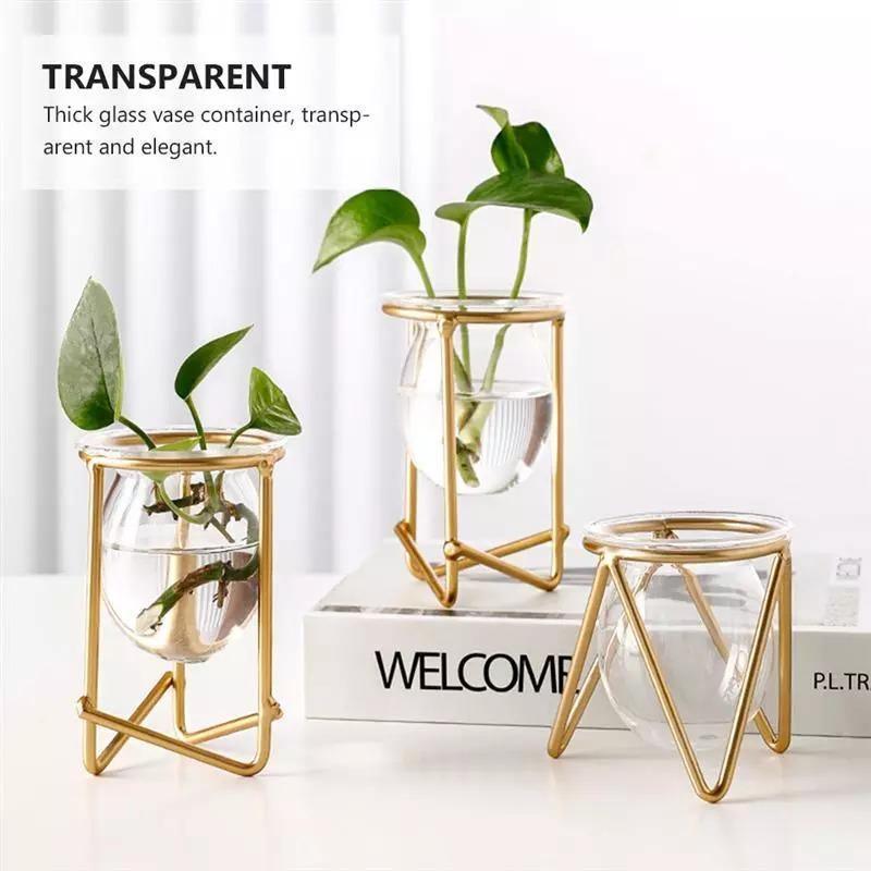 Modern Glass Plant Vase